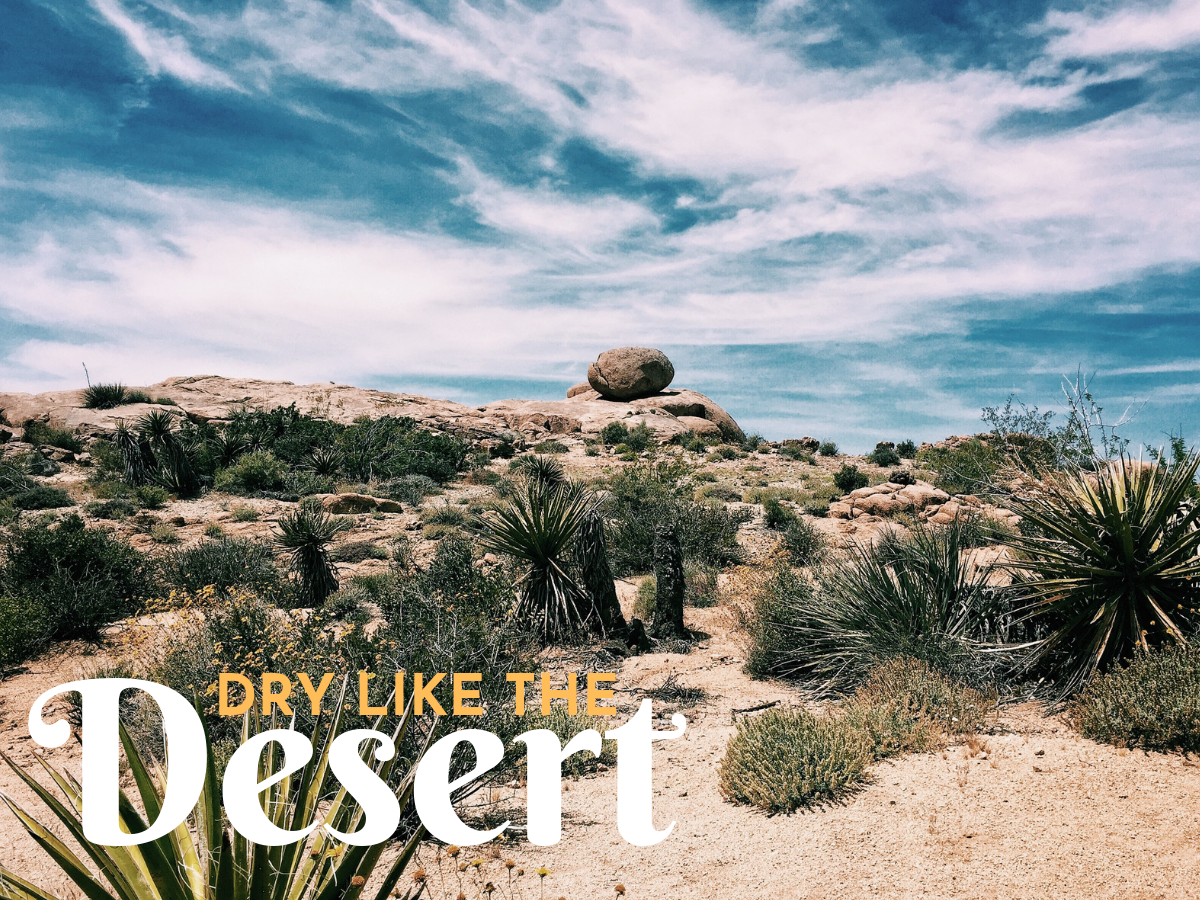 Dry Like the Desert